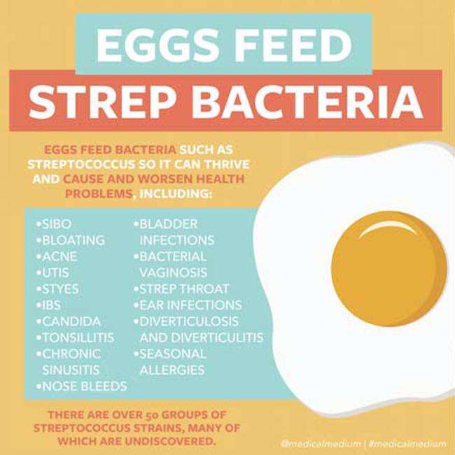 Eggs Feed Strep Bacteria 