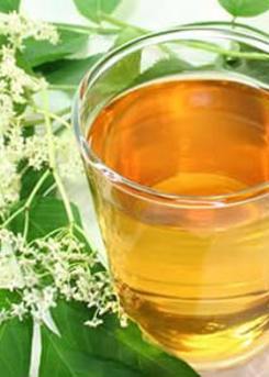 Elderflower