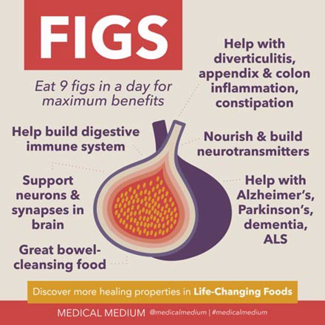 Figs: Brain & Gut Food