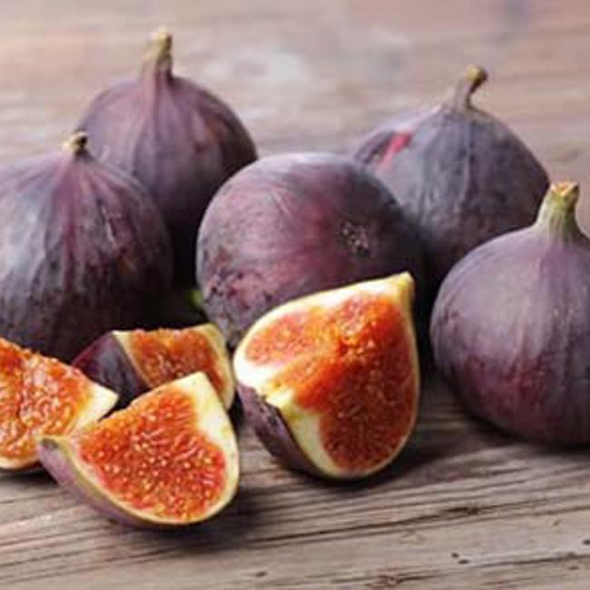 Figs
