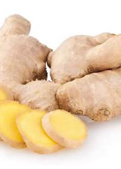 Ginger