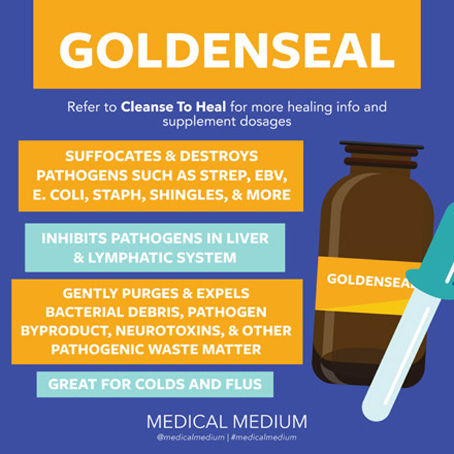 Goldenseal: Antibacterial