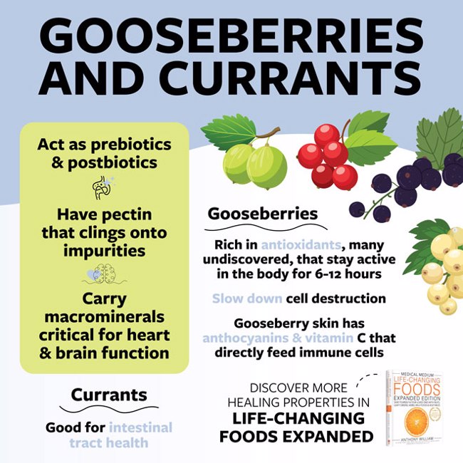 Gooseberries & Currants