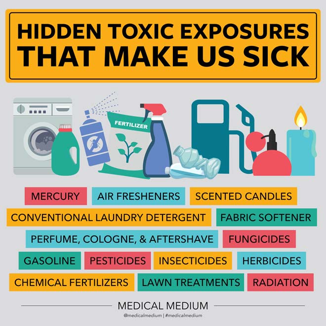 Hidden Toxic Exposures That Make Us Sick 
