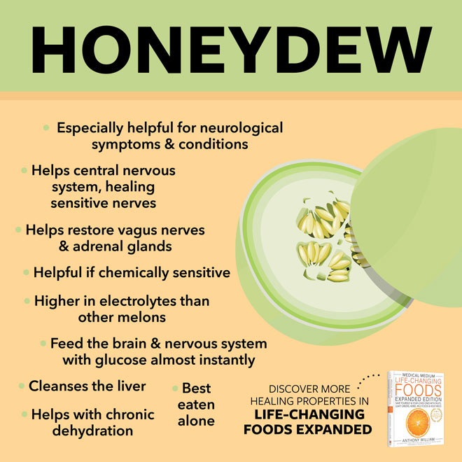 Honeydew