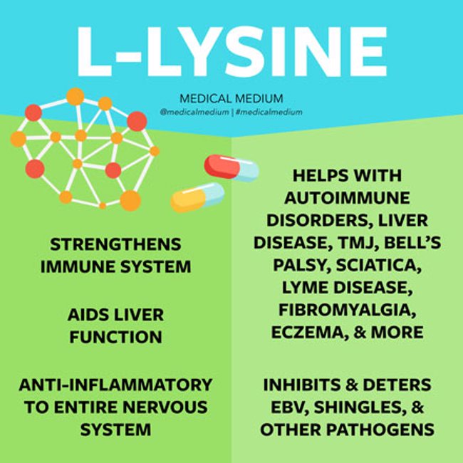 Medical Medium Healing Essentials