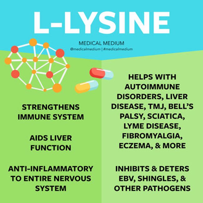 L-Lysine: Pathogen Inhibitor