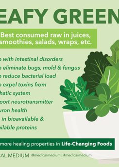 Power of Leafy Greens 