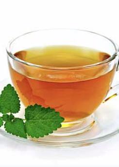 Lemon Balm
