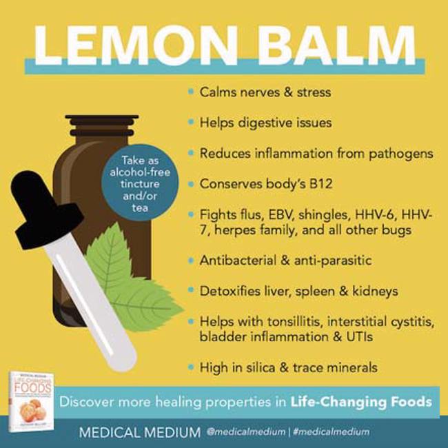 Medical Medium Health Articles (Blog)