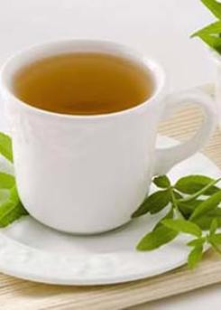 Lemon Verbena