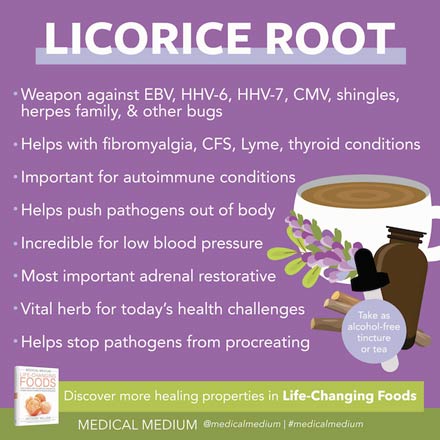 Medical Medium: Licorice Root: Critical Pathogen Fighter