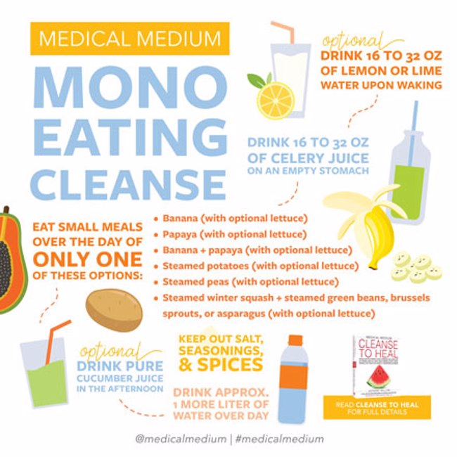 Medical Medium Healing Essentials