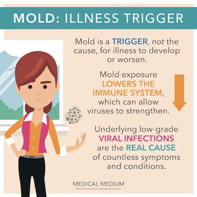 Mold - Illness Trigger