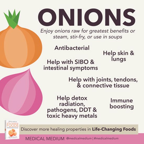 Onions: Antibacterial Weapon