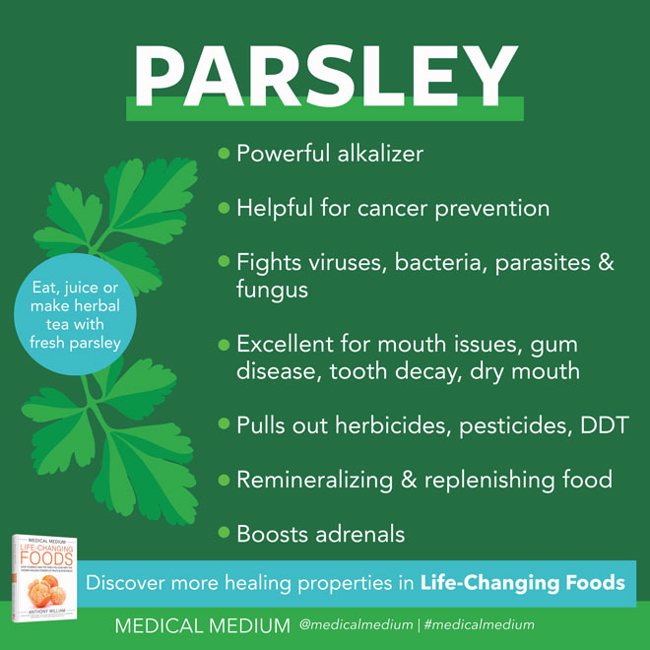 Parsley: Alkalizing Herb