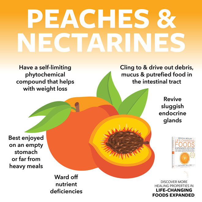 Pesche e nettarine