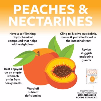 Peaches & Nectarines