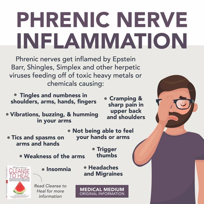 Phrenic Nerve Inflammation