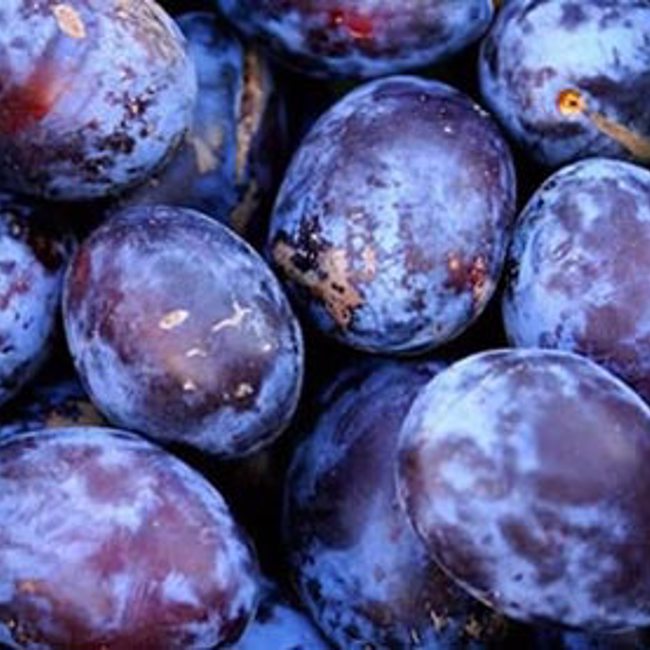Plums