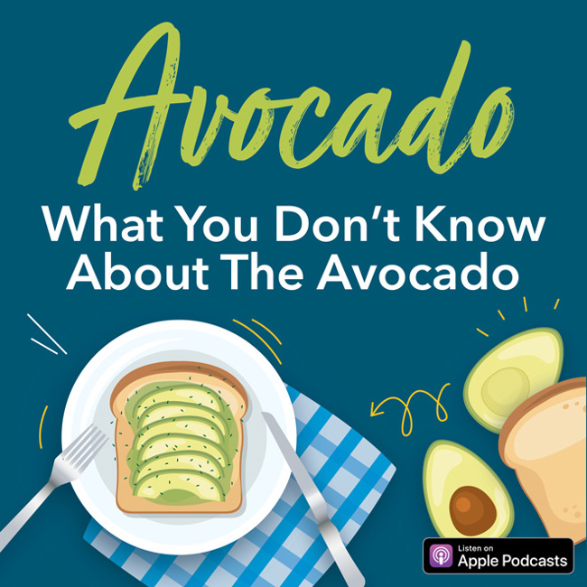 Avocado: What You Don't Know About The Avocado