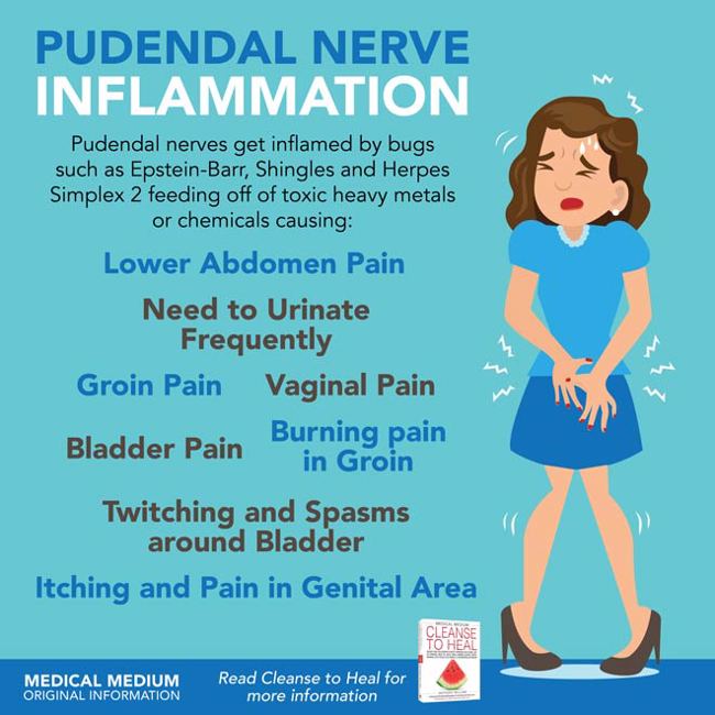 Pudendal Nerve Inflammation