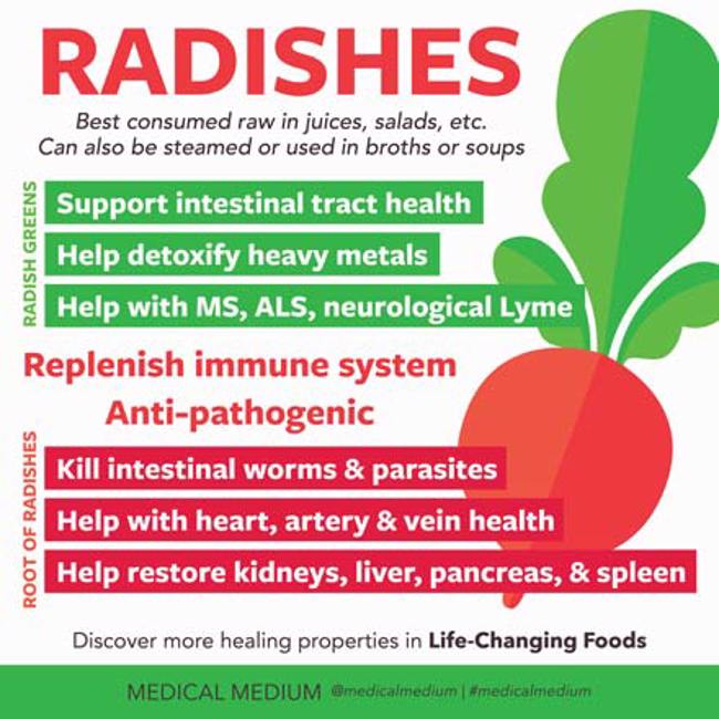 Medical Medium Healing Essentials