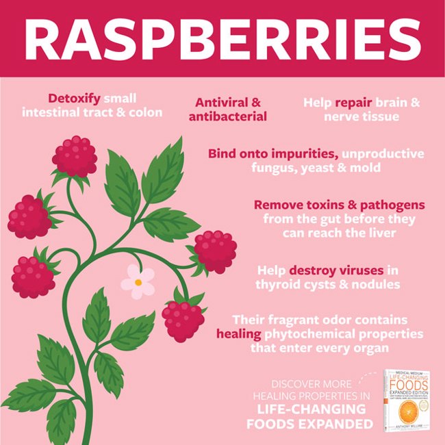Raspberries