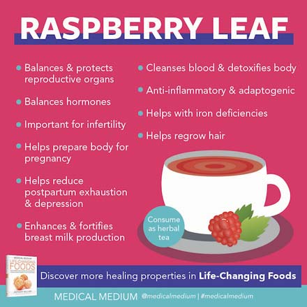 Raspberry Leaf - Life-Changing Herb