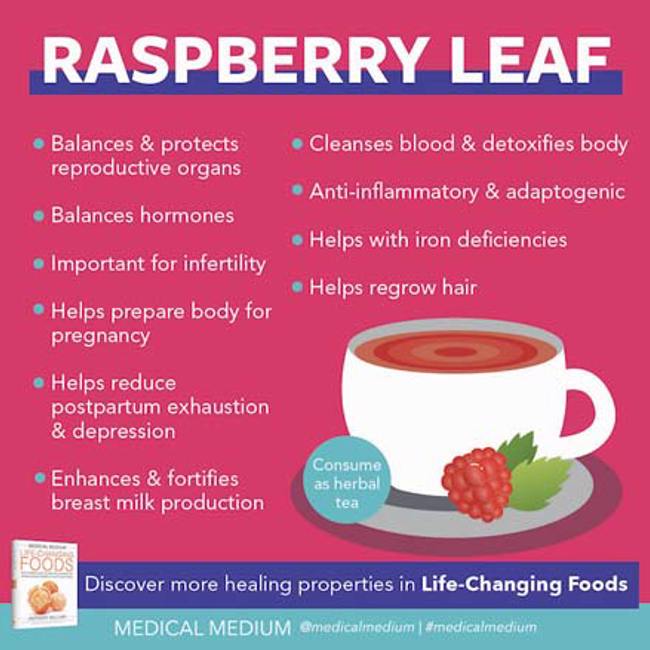 Medical Medium Healing Foods (Blog)