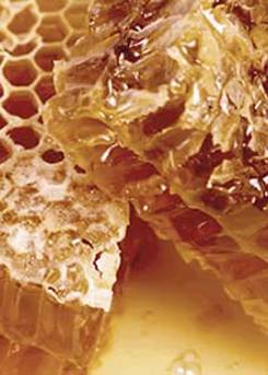 Raw Honey