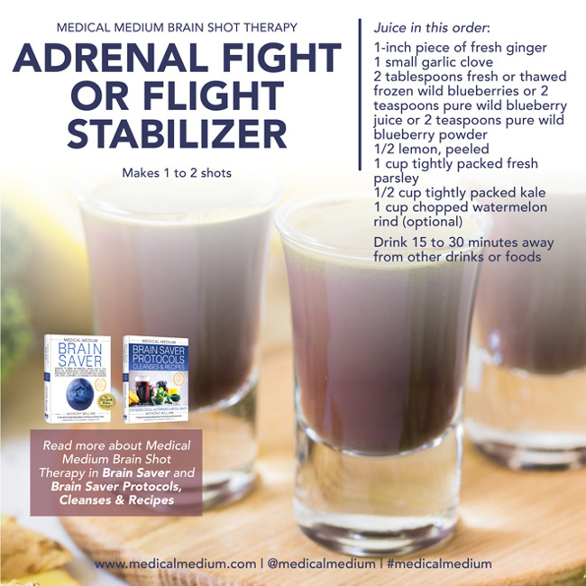 Adrenal Fight Or Flight Stabilizer