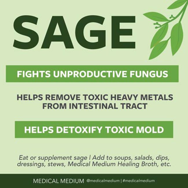 Sage: Fungus Fighter