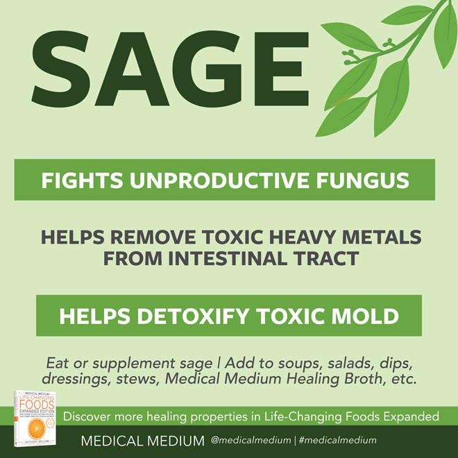 Sage: Fungus Fighter