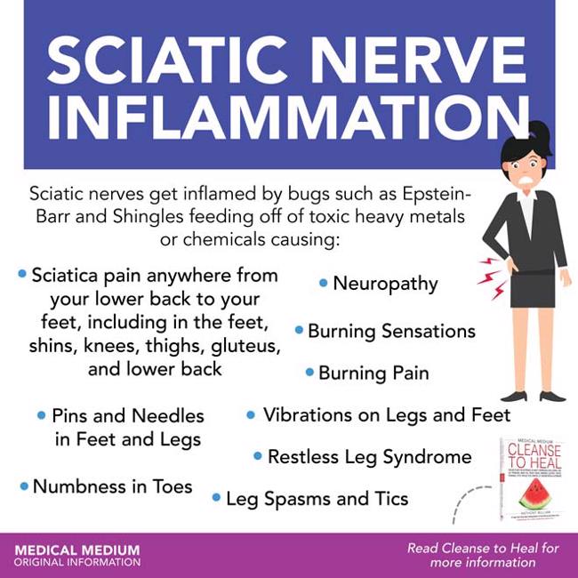 Sciatic Nerve Inflammation
