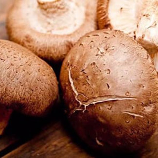 Medical Medium Healing Foods (Blog)
