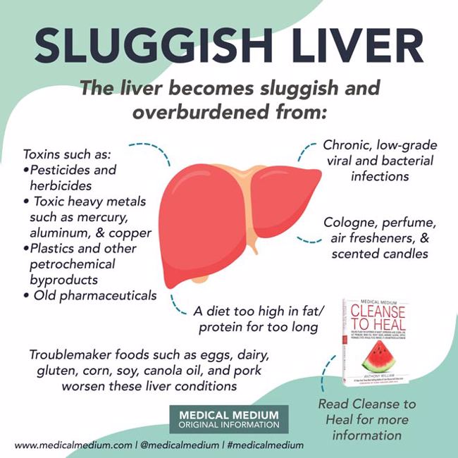 Sluggish Liver