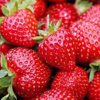 Strawberries