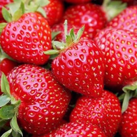 Strawberries