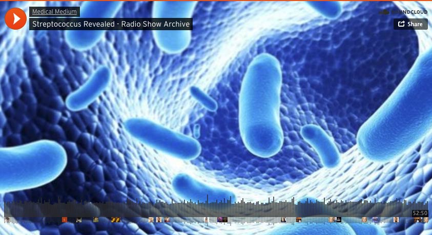 Streptococcus Revealed