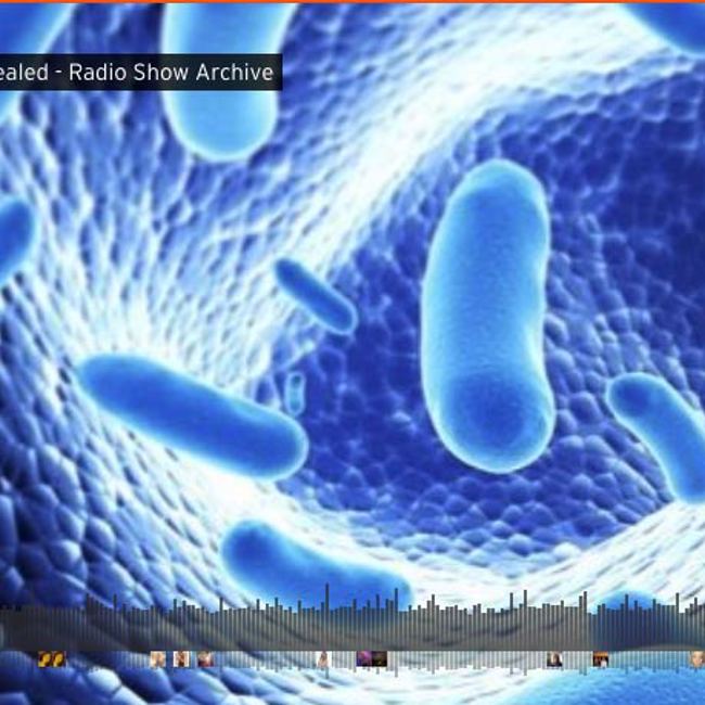 Streptococcus Revealed