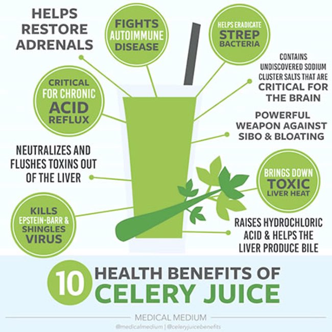 Medical Medium Celery Juice (Blog)