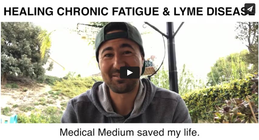 Healing Chronic Fatigue & Lyme Disease