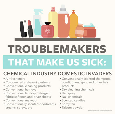 Troublemakers That Makes Us Sick - Chemical Industry Domestic Invaders
