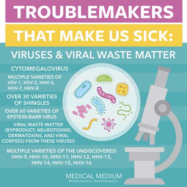 Troublemakers That Make Us Sick - Viruses and Viral Waste Matter