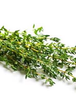 Thyme 