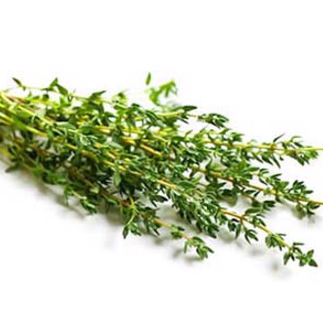 Thyme 
