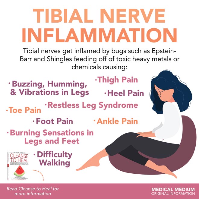 Tibial Nerve Inflammation