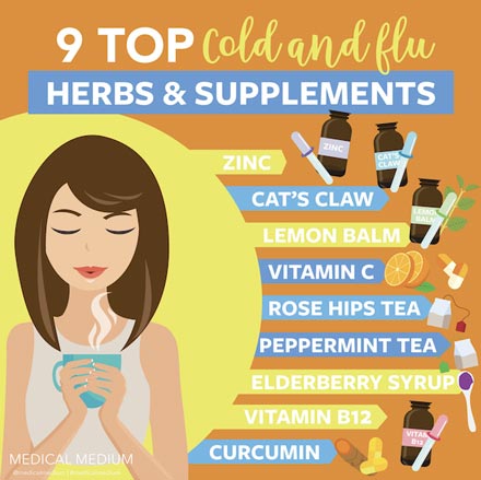 9 Top Cold & Flu Herbs & Supplements