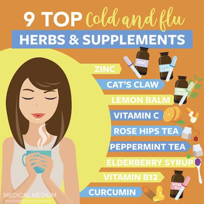 9 Top Cold & Flu Herbs & Supplements